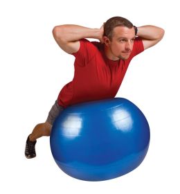 GOFIT STABILITY BALL - 75CM